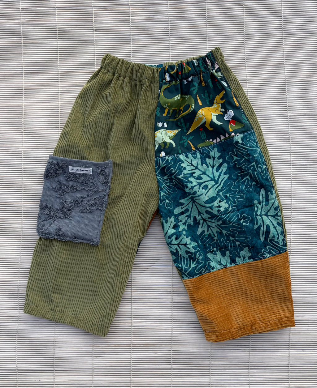 Pants Dinosaur Size 2