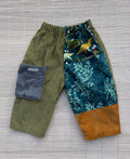 Pants Dinosaur Size 2
