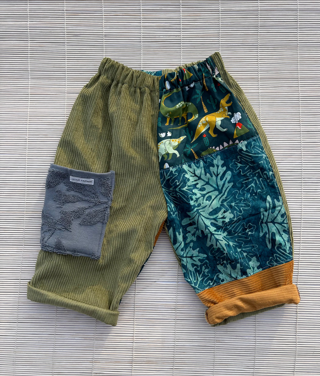 Pants Dinosaur Size 2